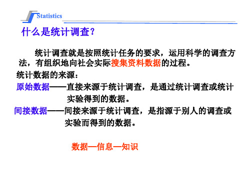 普查抽样调查统计报表典型调查重点调查