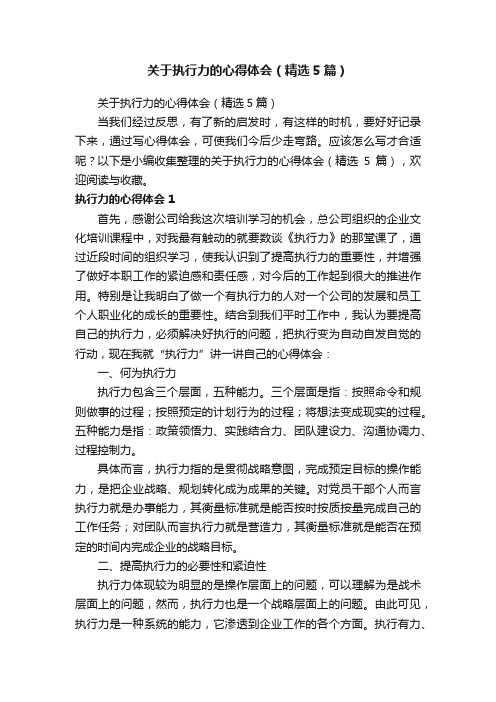 关于执行力的心得体会（精选5篇）