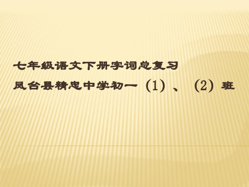 初一语文下学期字词总复习(部编版)