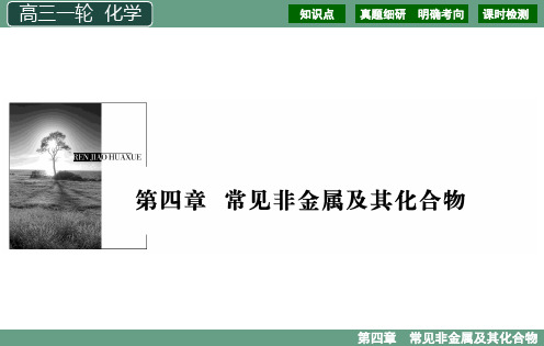 2021年高三化学一轮复习 第4章 14讲 硫及其化合物