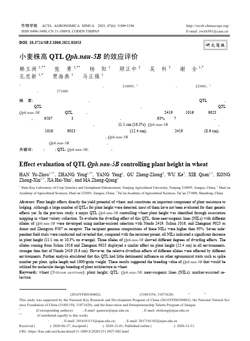 小麦株高QTL Qph.nau-5B的效应评价