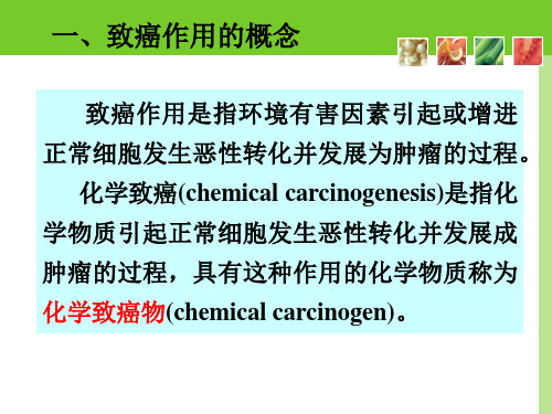 特殊毒性及其试验与评价方法3