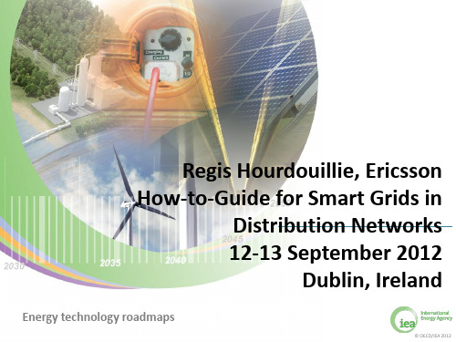 How-to-Guide for Smart Grids in Distribution Netwo