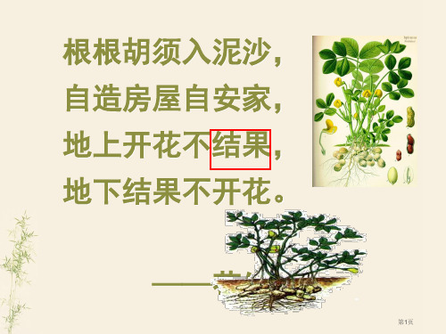 15课落花生PPT6666市公开课金奖市赛课一等奖课件