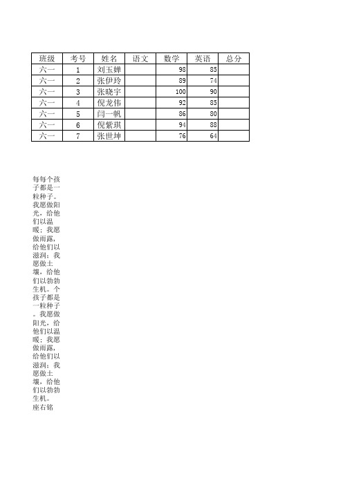 堤上小学期末考试成绩登记表