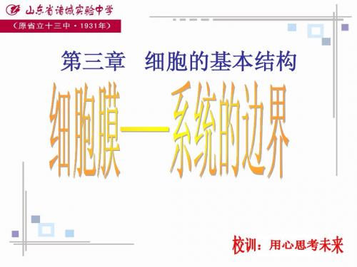 人教版教学课件人教3.1细胞膜--系统的边界