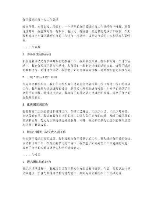 分团委组织部个人工作总结