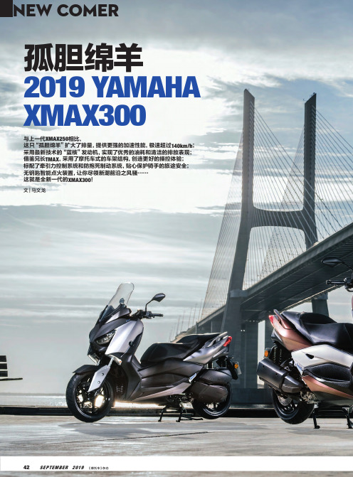 孤胆绵羊2019 YAMAHA XMAX300