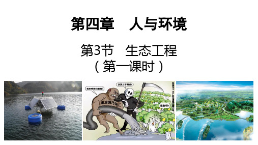 4.3 生态工程课件-高二上学期生物人教版选择性必修2