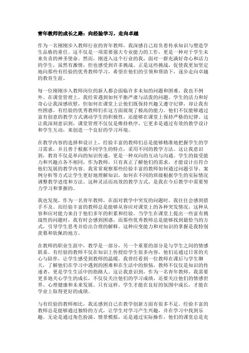 青年教师的成长之路：向经验学习,走向卓越