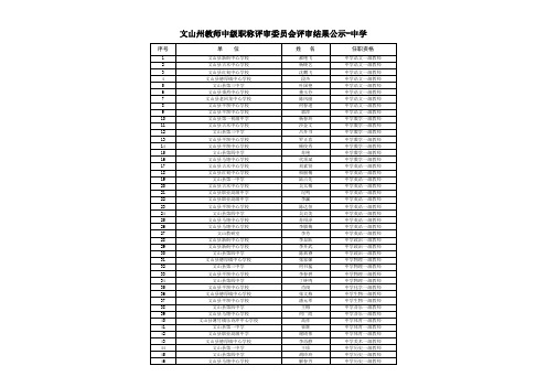 文山州教师中级职称评审委员会评审结果公示-中学