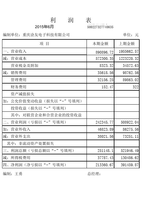 资产负债表、利润表空白表下载