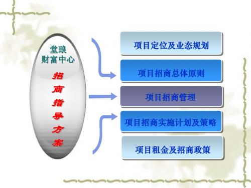 堂琅财富中心招商指导方案331