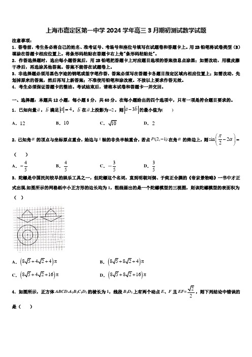 上海市嘉定区第一中学2024学年高三3月期初测试数学试题