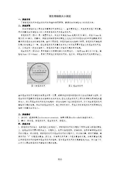 微生物细胞大小的测定方法