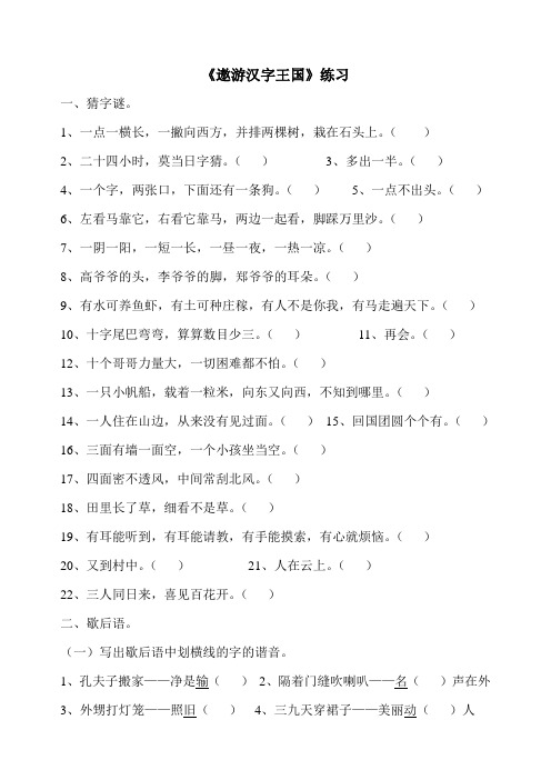 《遨游汉字王国》练习