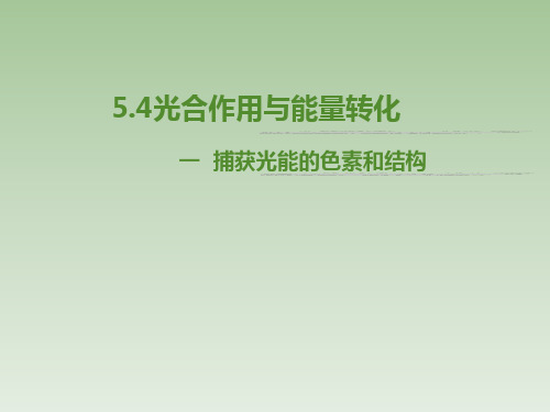 【公开课】光合作用与能量转化课件-2022-2023学年高一上学期生物人教版(2019)必修1