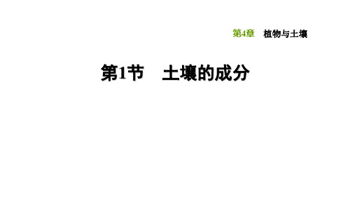 4.1土壤的成分—浙教版八年级科学下册习题课件