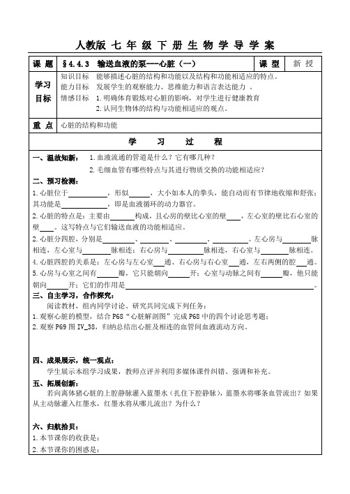 人教版七年级下册生物学导学案 输送血液的泵---心脏(一)