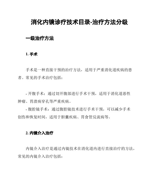 消化内镜诊疗技术目录-治疗方法分级