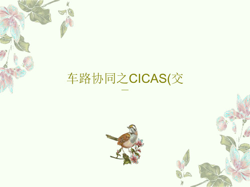 车路协同之CICAS(交17页PPT