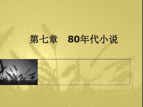 80年代小说2