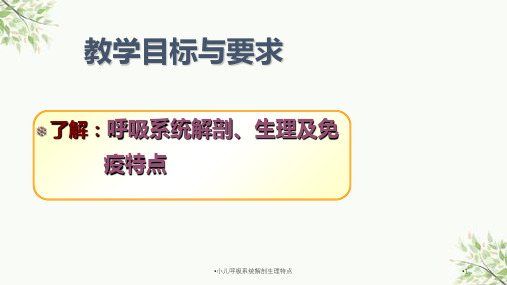 小儿呼吸系统解剖生理特点课件