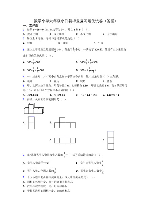 数学小学六年级小升初毕业复习培优试卷(答案)