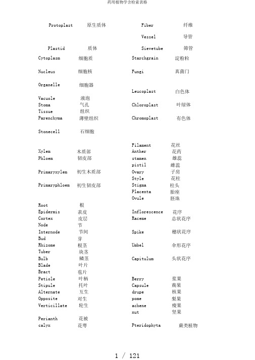 药用植物学含检索表格