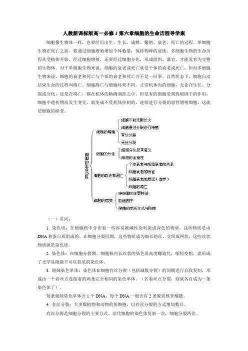 高一必修1第六章细胞的生命历程导学案1