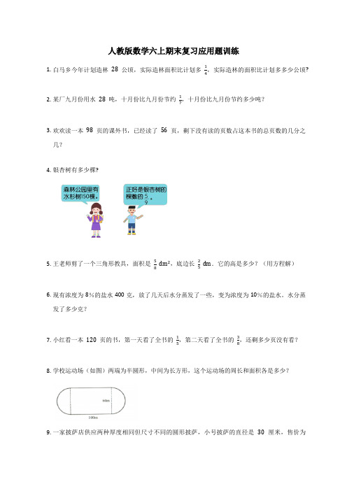 期末复习应用题训练(试题)六年级上册数学人教版