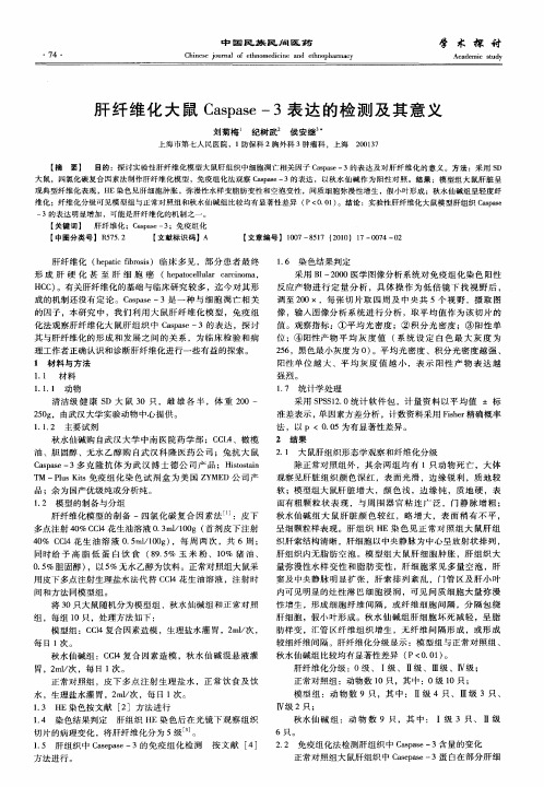 肝纤维化大鼠Caspase-3表达的检测及其意义