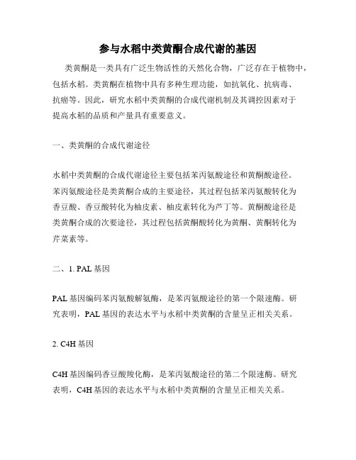 参与水稻中类黄酮合成代谢的基因