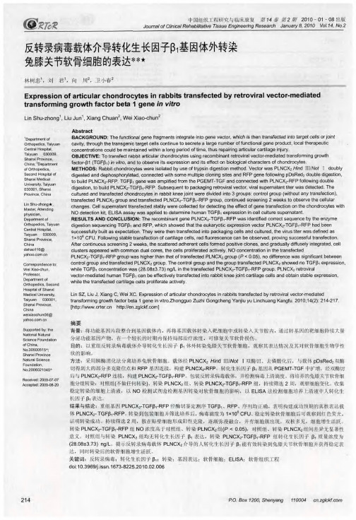 反转录病毒载体介导转化生长因子β1基因体外转染兔膝关节软骨细胞的表达