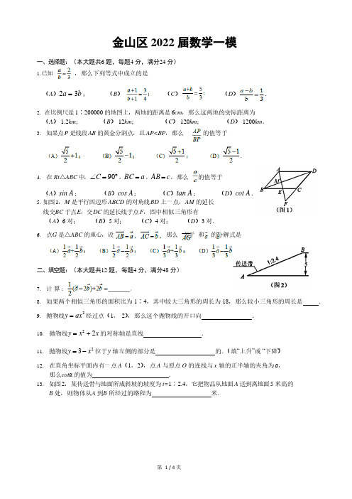 2022届上海市金山区中考数学一模试卷及答案