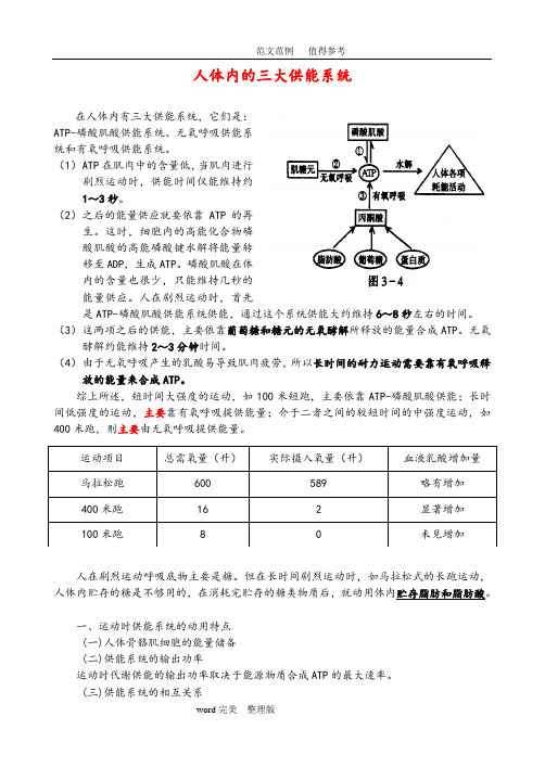 人体内的三大供能系统