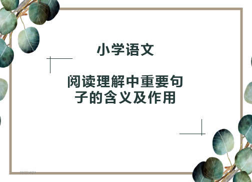 小学语文-阅读理解中重要句子的含义及作用