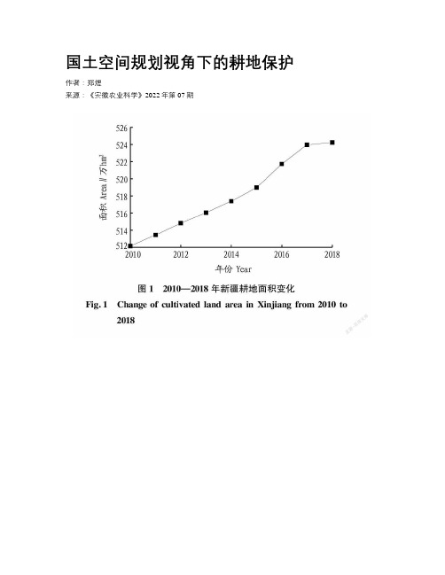 国土空间规划视角下的耕地保护