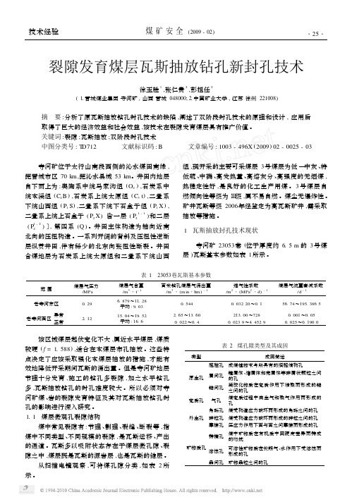 裂隙发育煤层瓦斯抽放钻孔新封孔技术