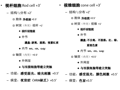 《组织学与胚胎学》实验：眼(复习大纲)