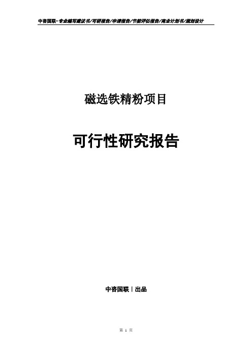 磁选铁精粉项目可行性研究报告