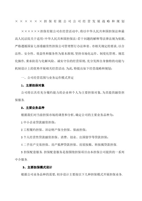 融资担保公司公司经营发展战略和规划