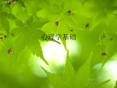 《心理学基础》PPT课件共52页文档