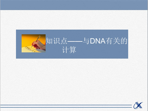 知识点-与DNA有关的计算