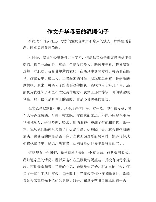 作文升华母爱的温暖句子