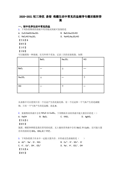 2020-2021初三培优 易错 难题生活中常见的盐辅导专题训练附答案