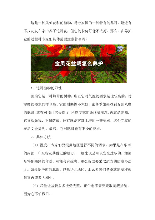 金凤花盆栽怎么养护