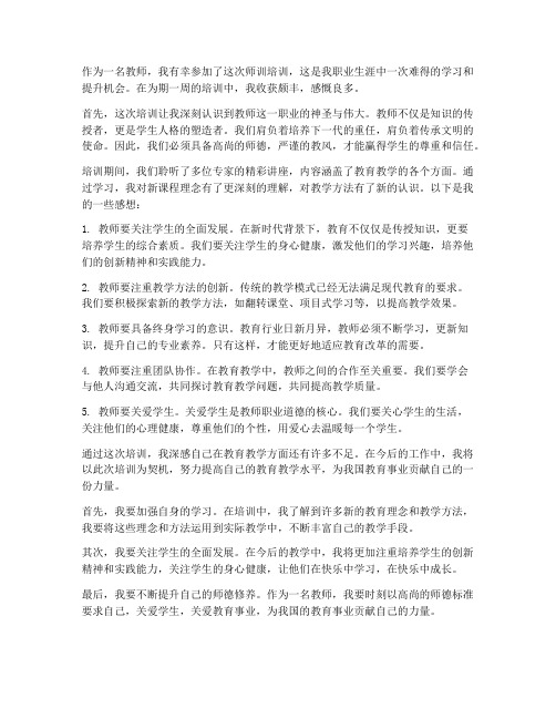 师训培训感想