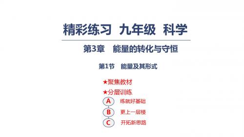 最新文档-2018秋浙教版九年级上册科学课件：3.1能量及其形式 (共14张PPT)-PPT精品文档