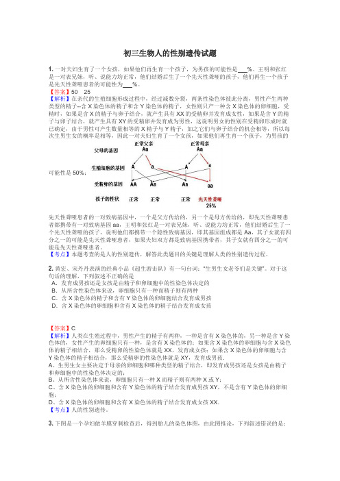 初三生物人的性别遗传试题
